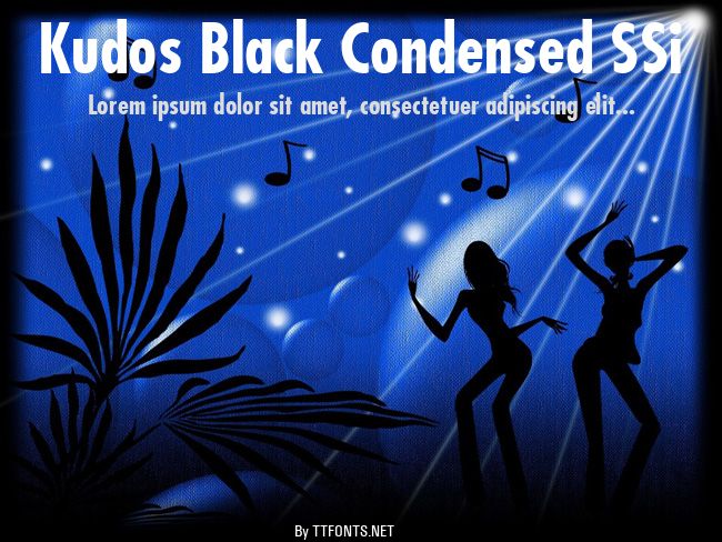 Kudos Black Condensed SSi example